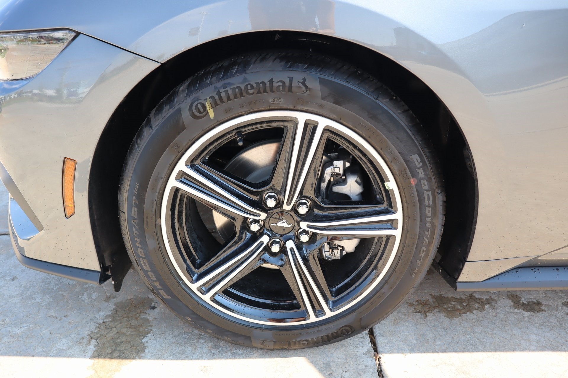 2025 Ford Mustang EcoBoost